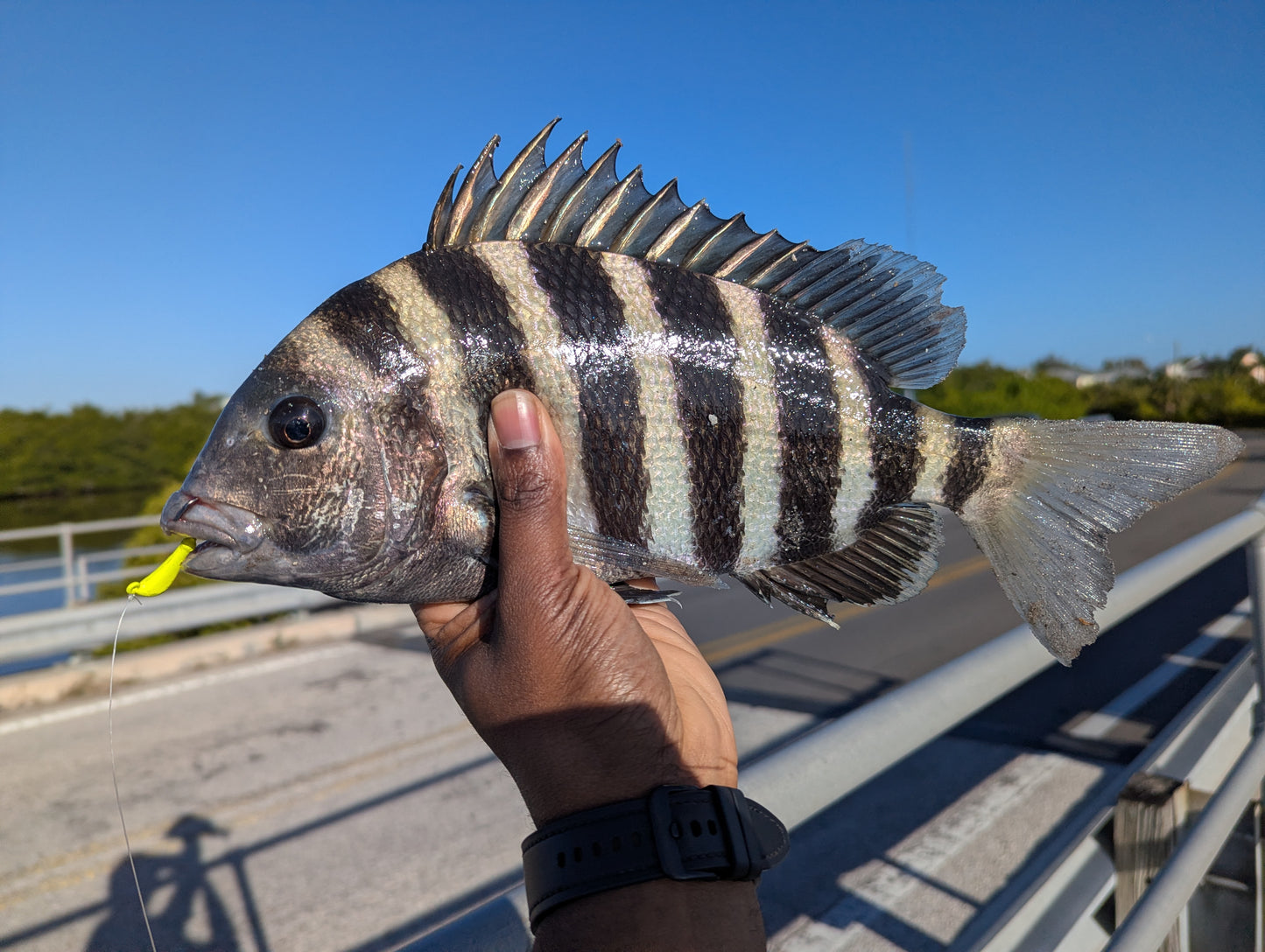 Sheep Slayer Jig (1/4 oz)